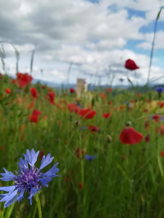 La Casina Leilighet Stia Eksteriør bilde